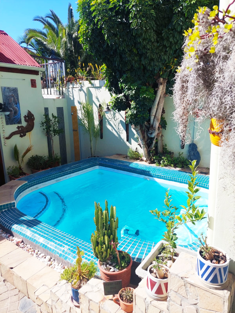 Sea Point, Cape Town, Bed and Breakfast, Guest House, Ami Vine House