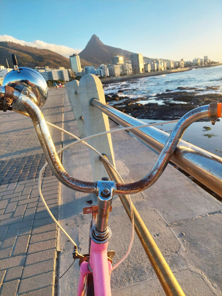 Sea Point, Cape Town, Bed and Breakfast, Guest House, Ami Vine House